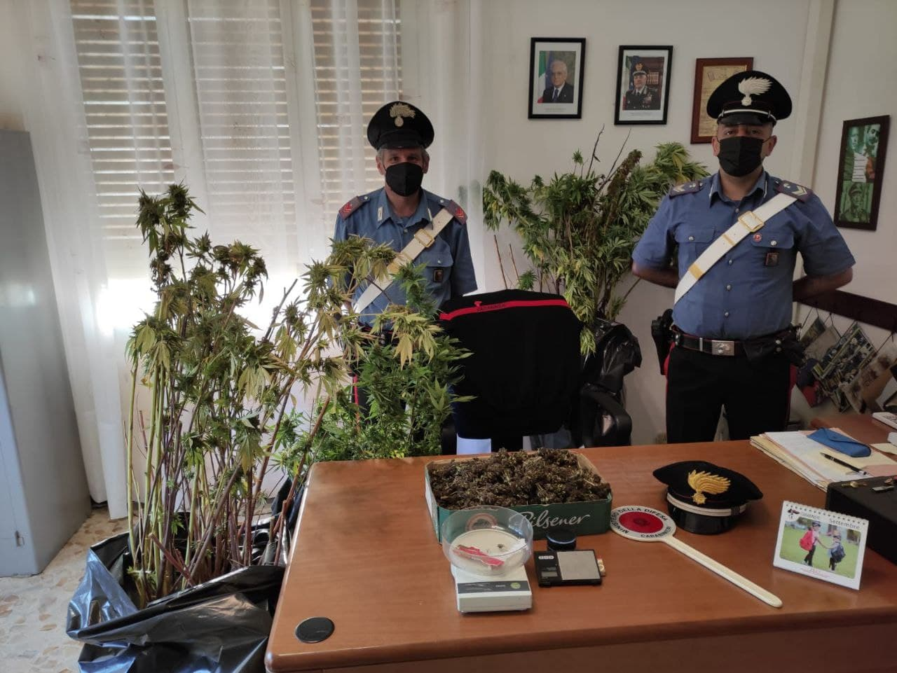 Coltivava marijuana in casa. I Carabinieri sentono l’odore e lo scoprono