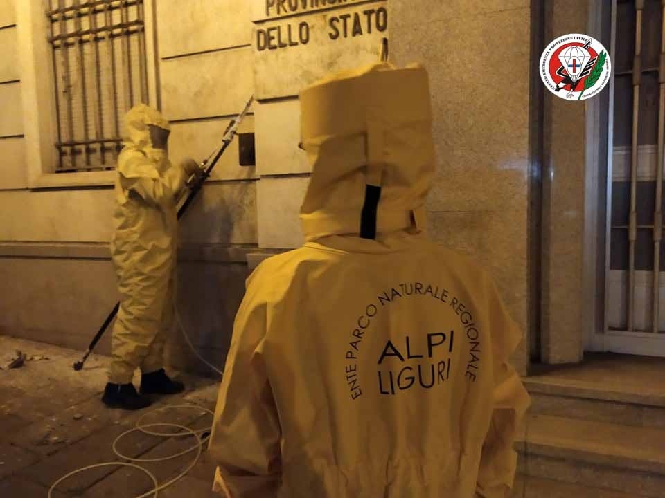 Nido di Vespa Velutina in Via Cascione