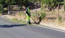 Intervento di sfalcio della strada provinciale e di tutti i marciapiedi