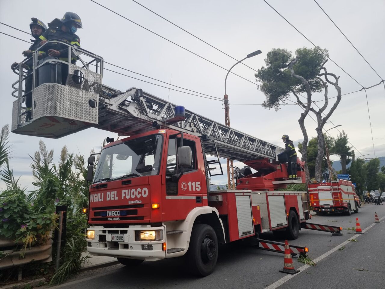 Aurelia chiusa al traffico per rami sui cavi dell’alta tensione