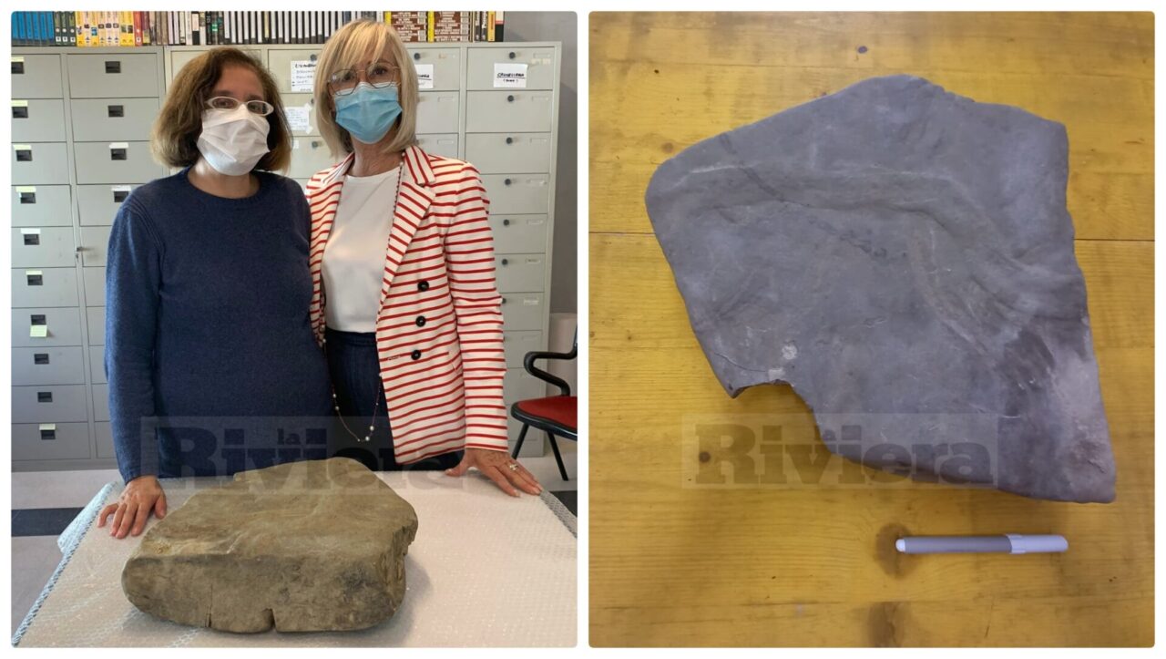 Scoperto a Sanremo fossile di due ricci che “fanno l’amore” risalente a 70 milioni di anni fa