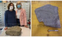 Scoperto a Sanremo fossile di due ricci che "fanno l'amore" risalente a 70 milioni di anni fa