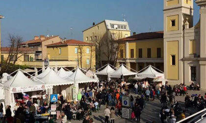 Eventi da non perdere