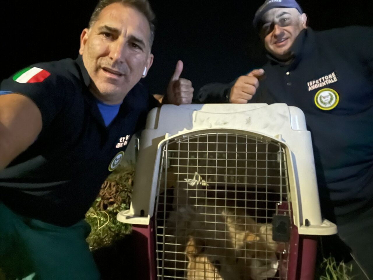 Arrivato da un canile in Calabria era sfuggito al padrone. Ritrovato dopo mesi Leon