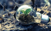 Sostenibilità e transizione ecologica nel webinar della Camera di Commercio