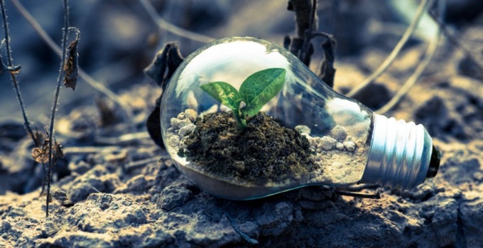 Sostenibilità e transizione ecologica nel webinar della Camera di Commercio