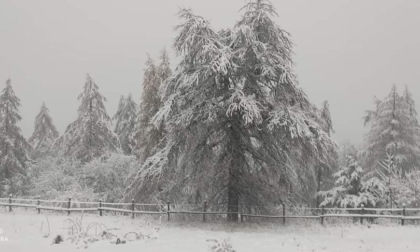 Prima neve in provincia di Imperia