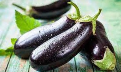 Melanzane alla besciamella