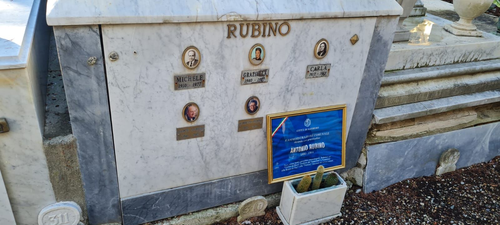 rubino