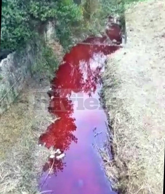 Ventimiglia: il corso d’acqua si tinge di rosso, denunciato titolare azienda floricola