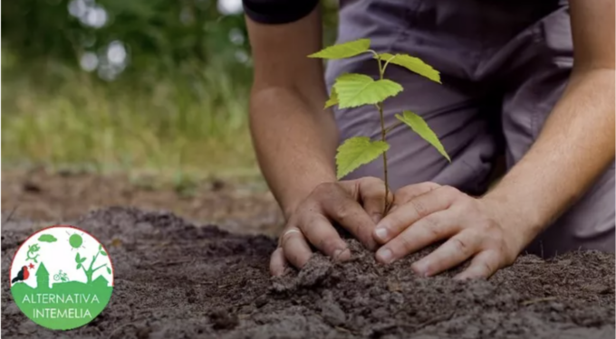 Da Alternativa Intemelia una raccolta fondi per “Far rinascere un bosco”