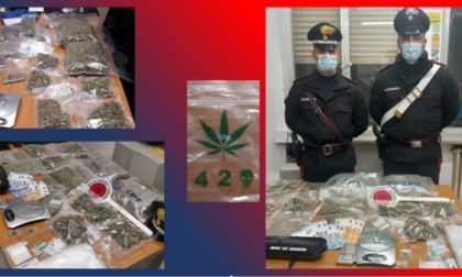 Arrestato a Sanremo con 1,72 kg di marijuana auto prodotta