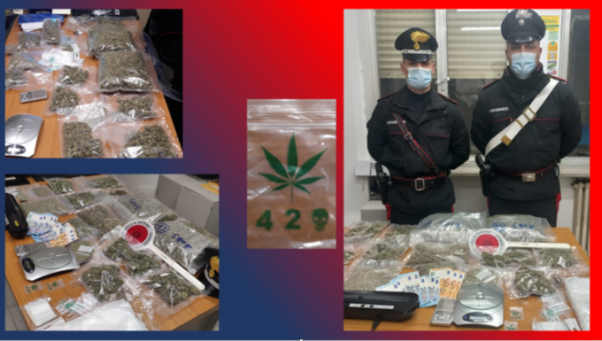 Arrestato a Sanremo con 1,72 kg di marijuana auto prodotta