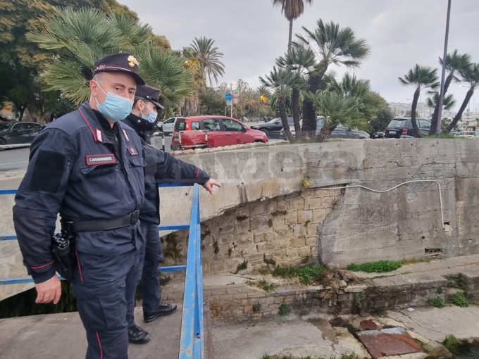 Carabinieri forestali a “caccia” del cinghiale che nuota in porto a Sanremo