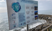 A lezione di educazione ambientale con Progetto Sea-ty