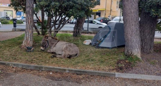 Ventimiglia: pellegrino aggira caro gasolio e crisi energetica in un colpo solo
