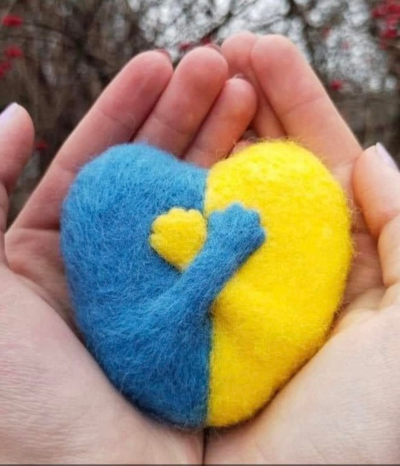 La protezione civile di Dolceacqua organizza raccolta fondi per l’Ucraina