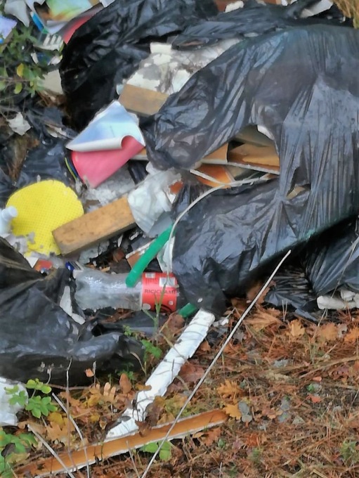 Ripulita la pineta in località Via Tovo