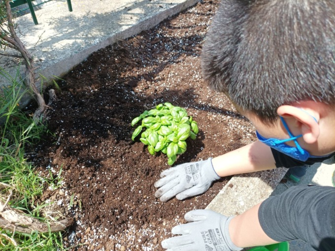 Una “Aula Verde” per la scuola primaria di Santo Stefano al Mare