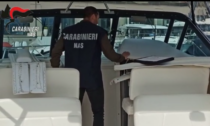 Sequestrato dai Nas al Porto di Imperia lo yacht un dentista abusivo. Video