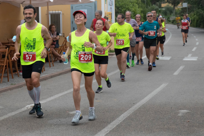 Aspettando la “Run for the Whales”