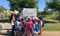 Lezione naturalistica all’aperto per i bambini della scuola primaria di Pontedassio