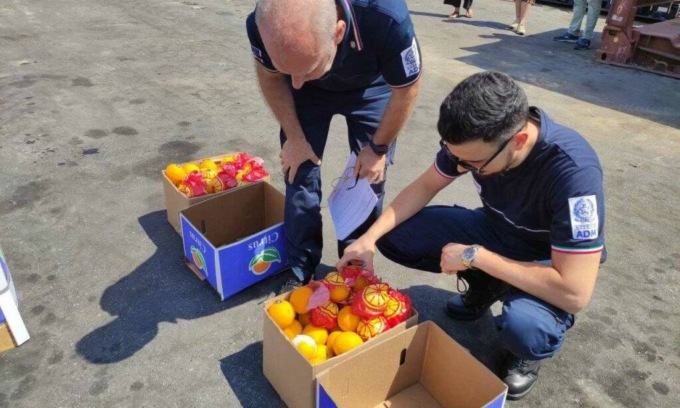 Sequestrate arance piene di larve