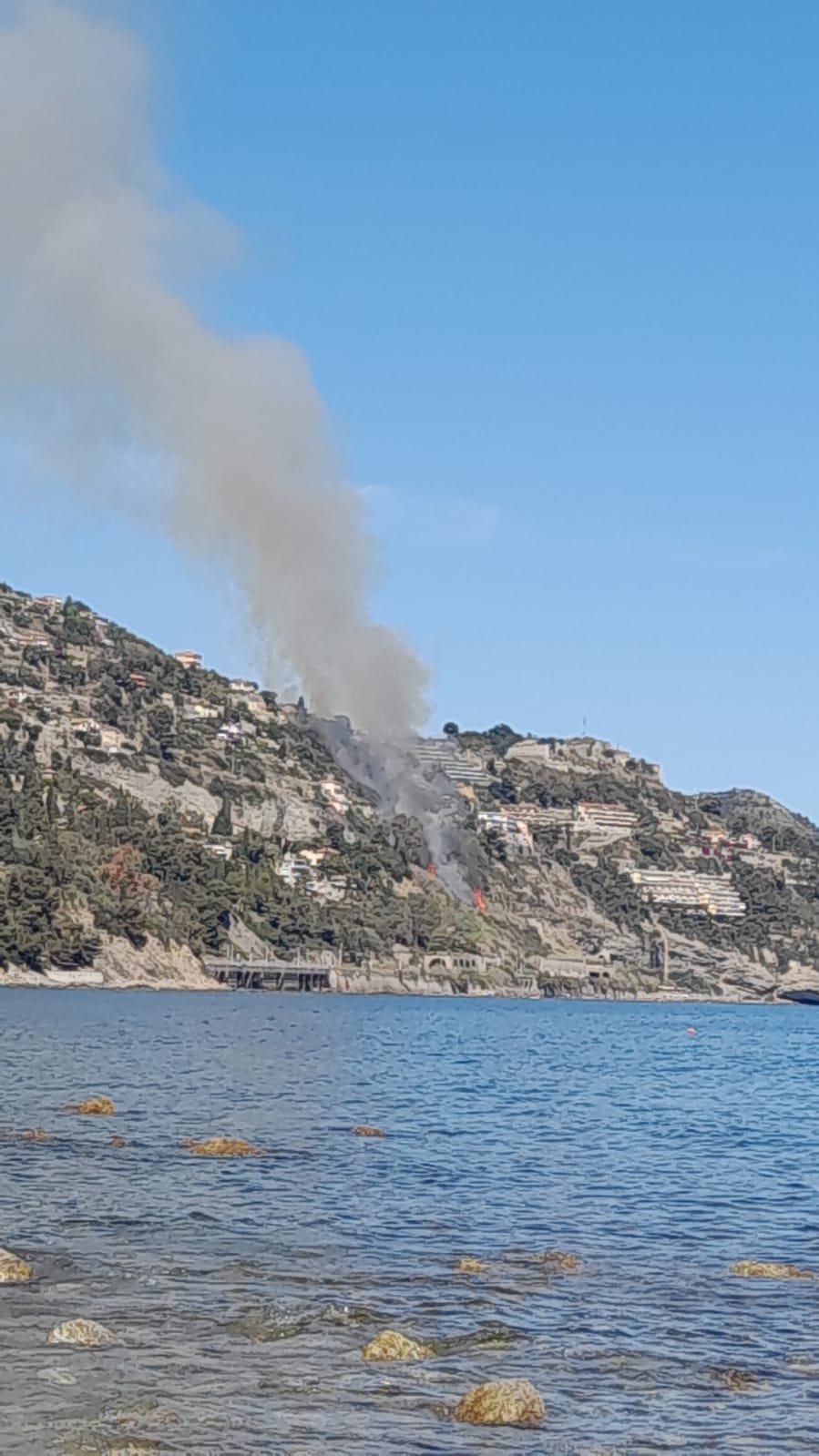 incendio macchia mediterranea calandre ventimiglia_02