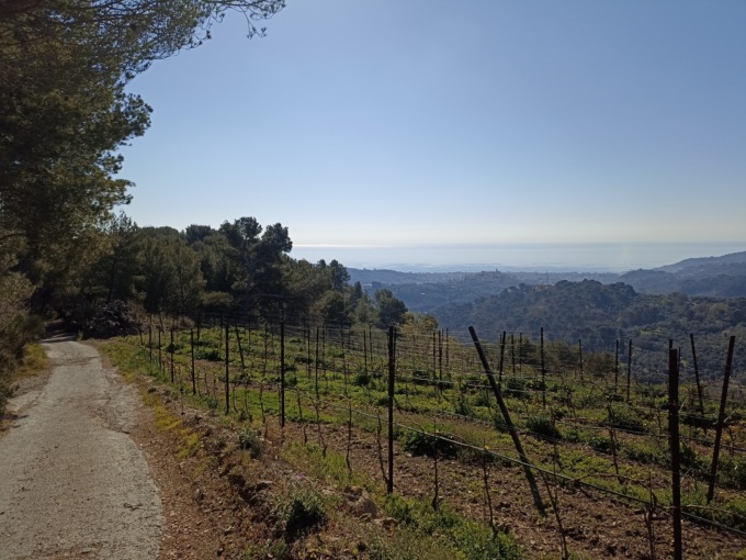 Torna Trek&Yoga alla scoperta del territorio
