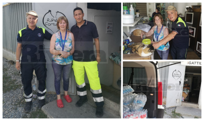 La Protezione civile regala tre bancali e mezzo di acqua al gattile di Ventimiglia