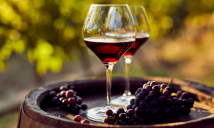 Agricoltura, Vice presidente Piana: “228mila euro per la promozione del vino ligure”