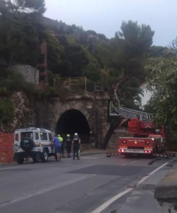 Albero caduto sulla strada a Imperia