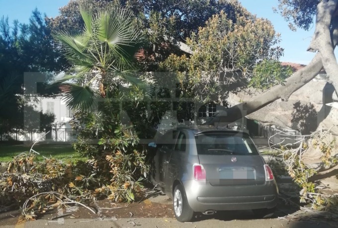 Bordighera: crolla un grosso ramo della “Scibretta”, danneggiata un’auto