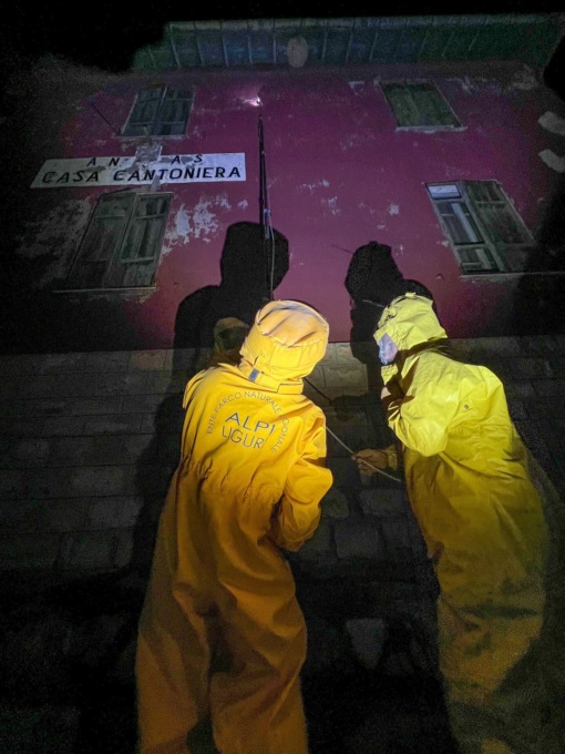 Grosso nido di vespe velutine a Chiusavecchia. Intervento della Protezione Civile