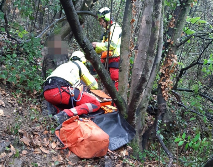 Tenta di salvare i cani dal cinghiale e gli parte un colpo di fucile, ferito cacciatore