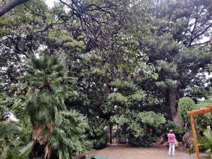 Museo Bicknell