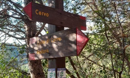 Cura è Cultura: una raccolta fondi per il parco sensoriale del Ciapà di Cervo