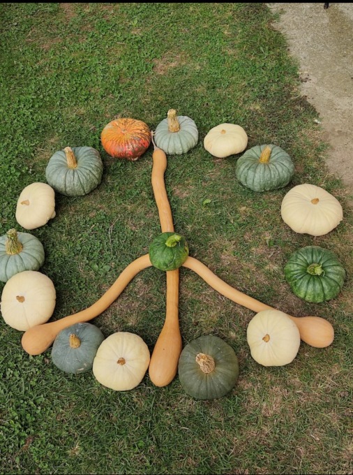 “La Pace” nei versi di un lettore