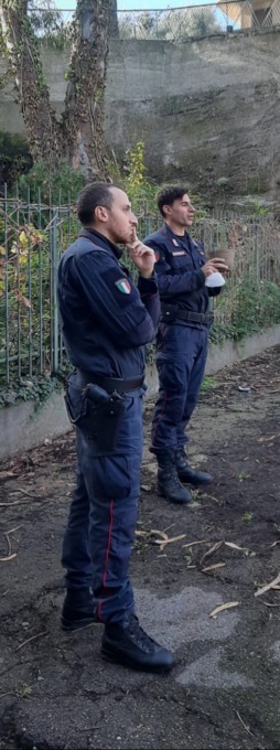 Festa dell'Albero