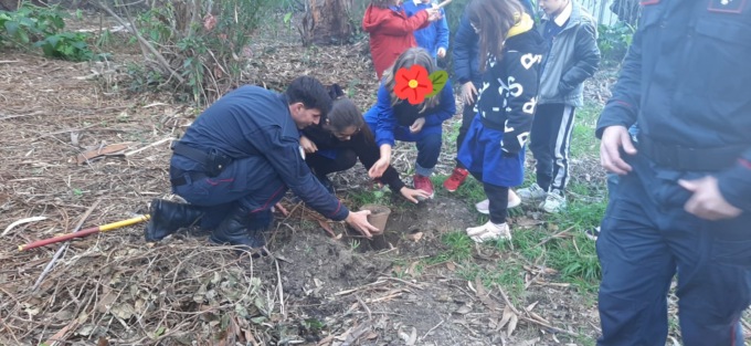 Festa dell'Albero