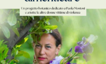 A Riva Ligure "una Iris per non dimenticare" la violenza sulle donne