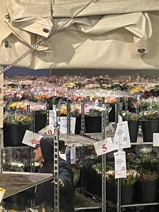 Prima asta al Mercato dei Fiori