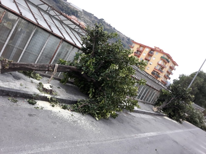 Vallecrosia, oltre 450 cittadini chiedono la sospensione dei lavori in via Don Bosco