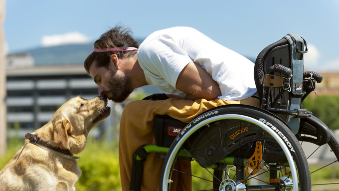 Come i cani guida: nuovo status per gli animali da assistenza