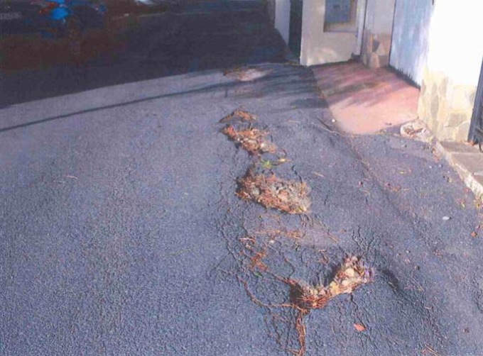 Ospedaletti e le buche: l’appello di un lettore