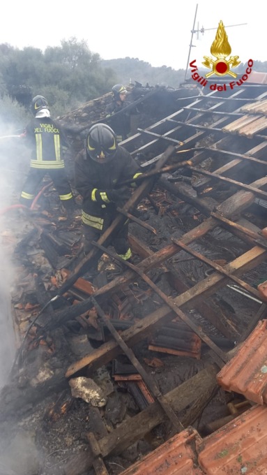 Vigili del fuoco salvano gatto da un incendio