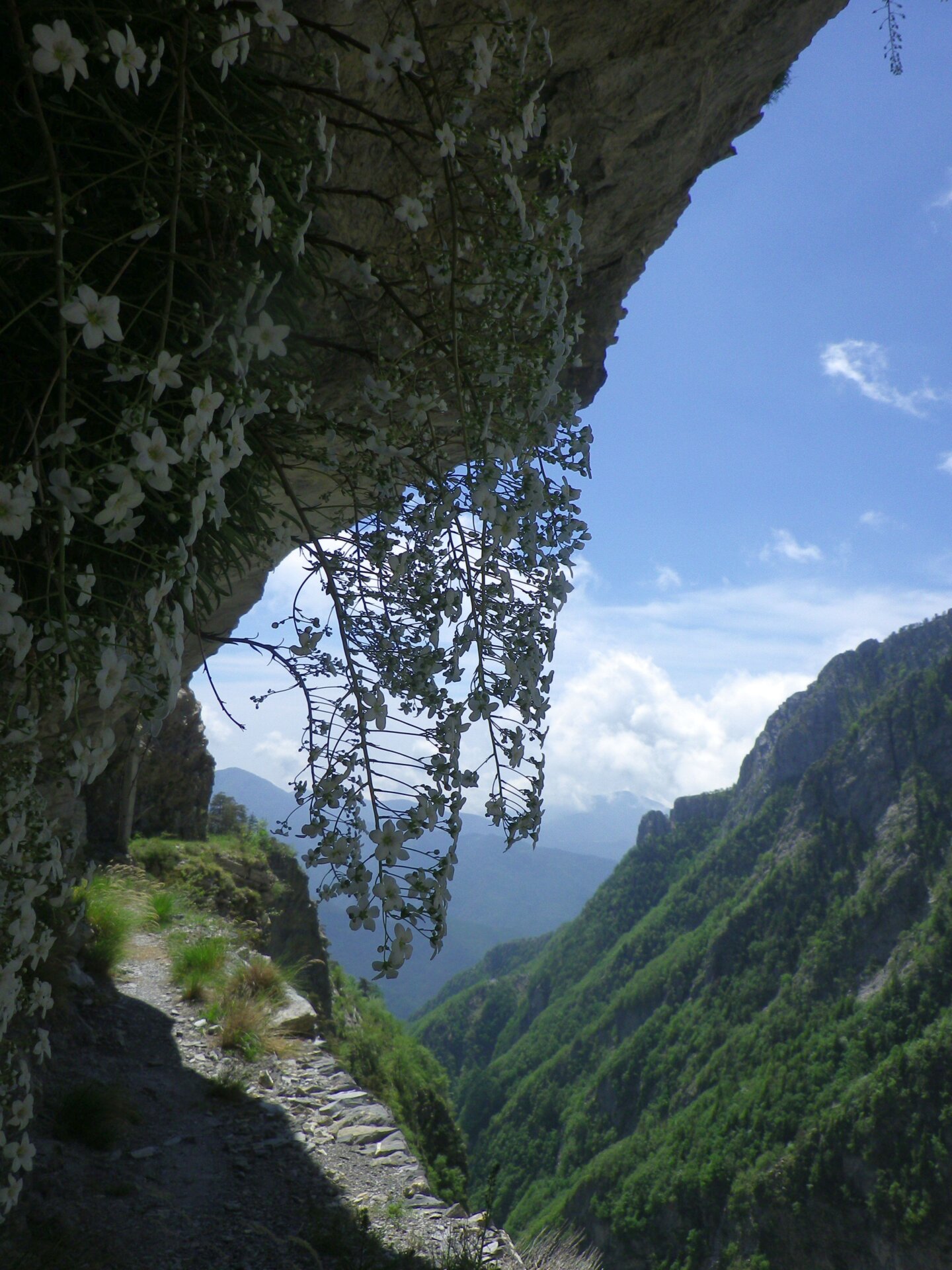 Sentiero Alpini 2