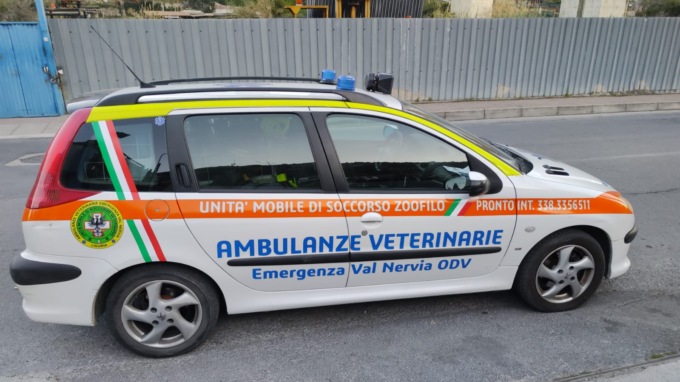 Soccorso veterinario Val Nervia, contro di noi esternazioni delegittimanti