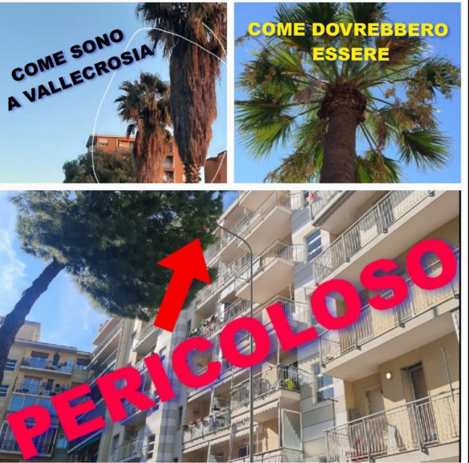 Vallecrosia: Perri attacca il Comune sul verde pubblico in stato di abbandono