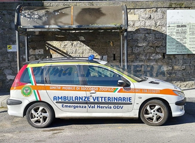 Siglata una convenzione tra Comune di Isolabona e soccorso veterinario
